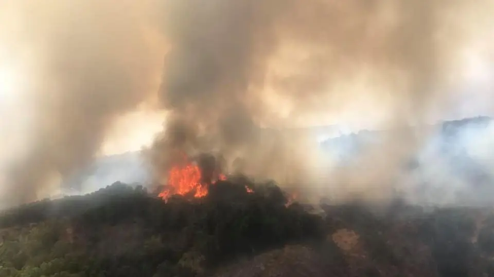 Aiuti per alluvioni e incendi in Sardegna.webp