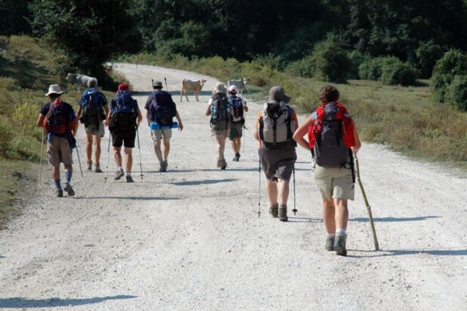 La via francigena