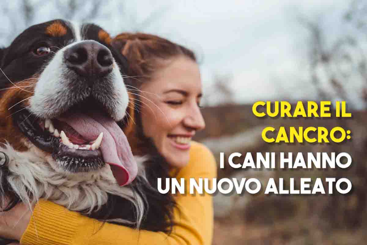 curare il cancro dei cani