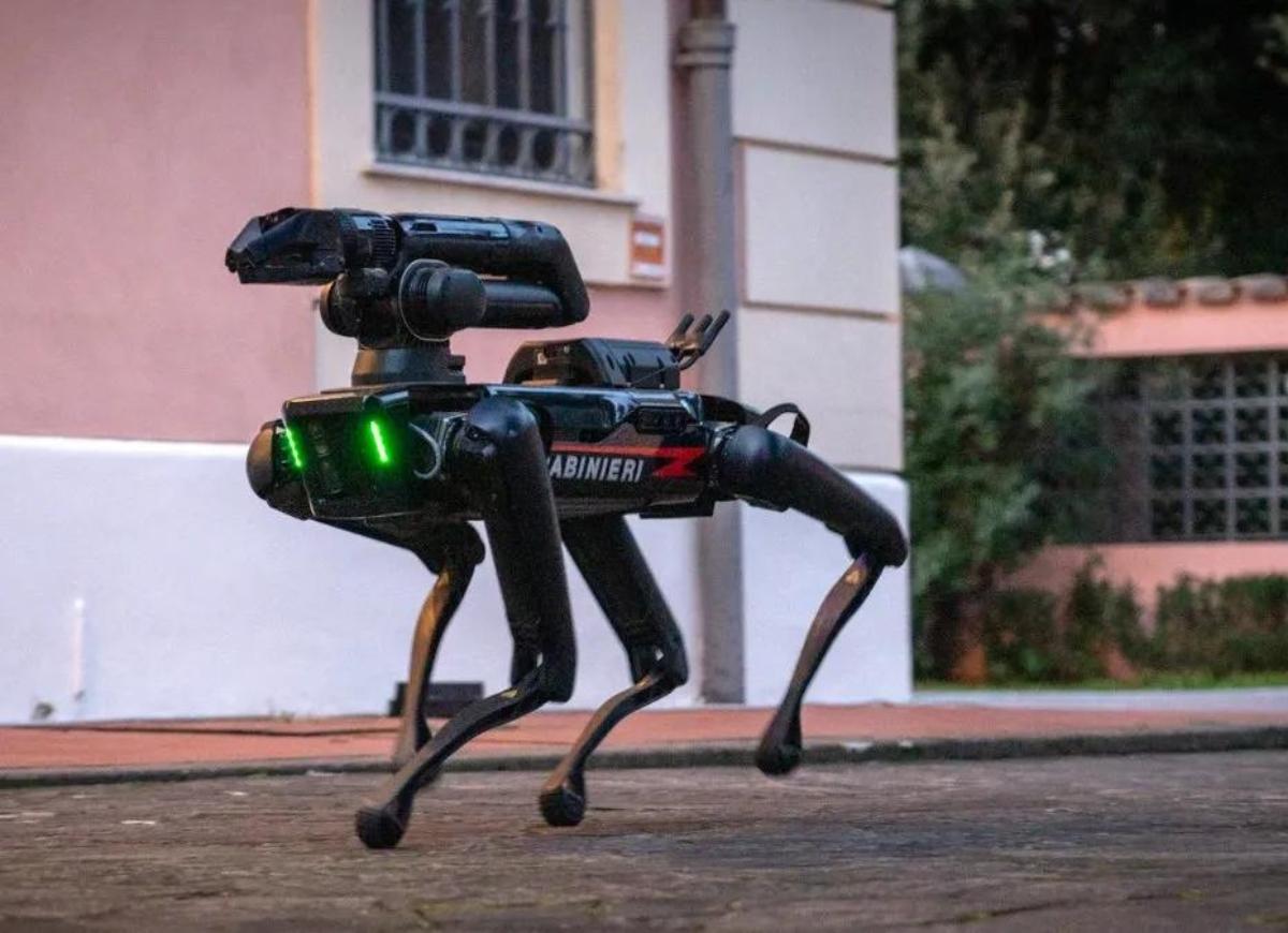 Saetta, il primo cane robot ad entrare in servizio con l'Arma dei Carabinieri