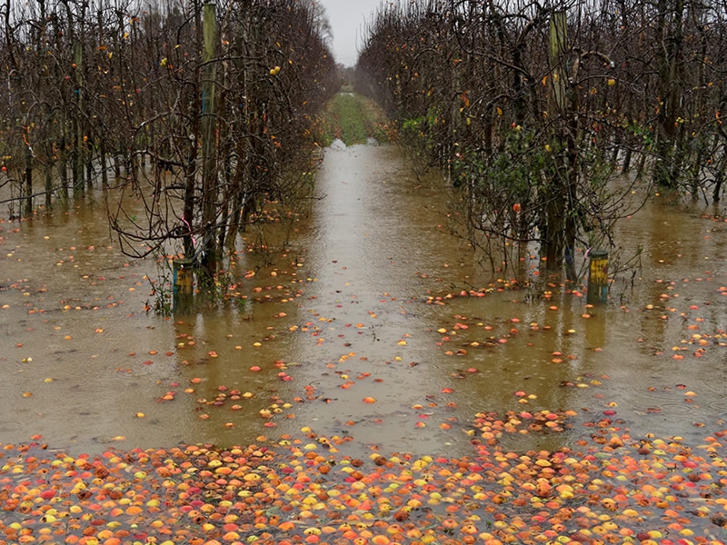 Disoccupazione agricola post alluvione a chi spetta