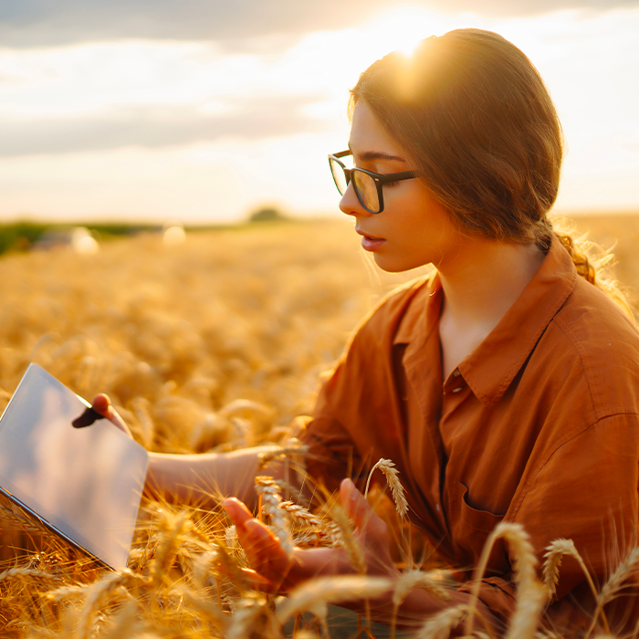 Indennita disoccupazione agricola 2023 e ammortizzatore sociale unico