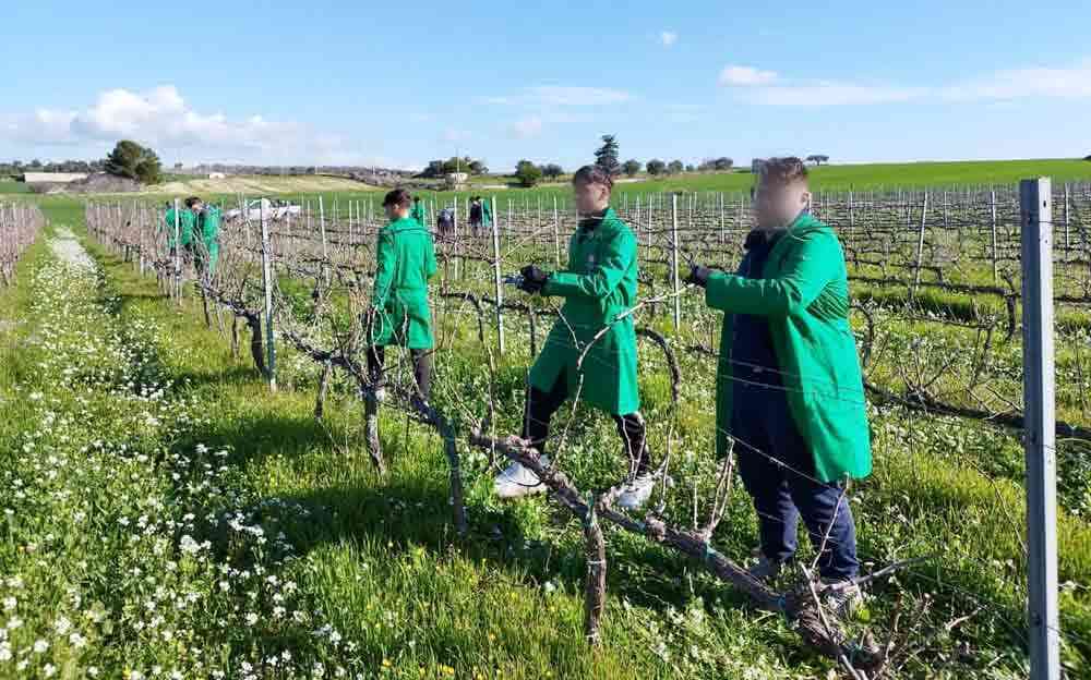 Nuove leve per il vino siciliano Vino Connect Sicilia giovani