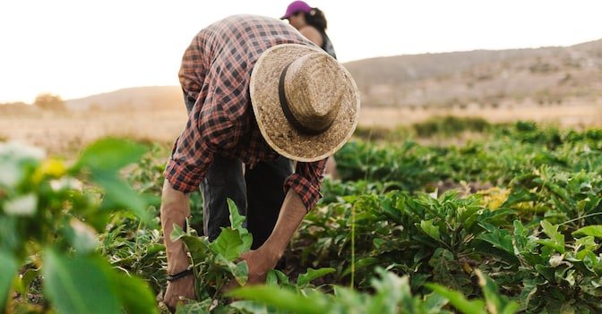 Incentivi per donne e giovani imprenditori agricoli Incentivi per donne e giovani imprenditori agricoli