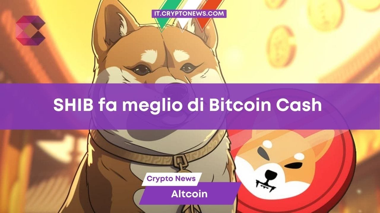 SHIB batte BCH SHIB a 1 USD? SHIB batte BCH SHIB a 1 USD