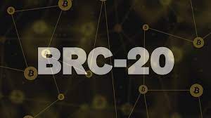 Top BRC 20 Tokens